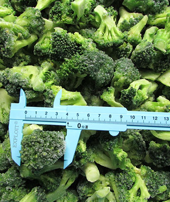 Broccoli Image 2