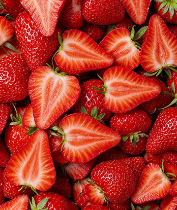 Tomato Puree Image 1